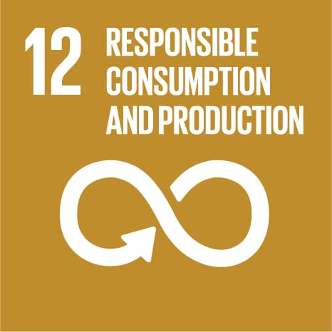 UN Sustainable Development Goal 12 — Responsible Consumption and Production