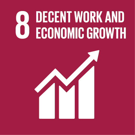 UN Global Goal 8