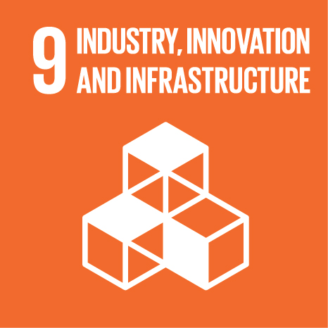 UN Global Goal 9