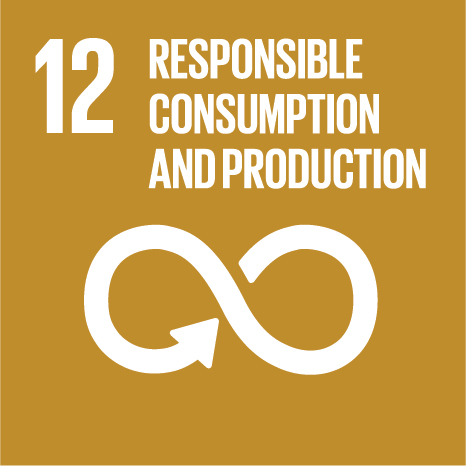 UN Global Goal 12