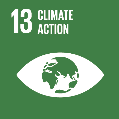 UN Global Goal 13